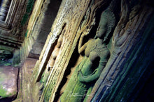 Load image into Gallery viewer, Angkor VI
