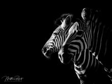 Load image into Gallery viewer, Zebra IV
